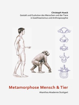 cover image of Metamorphose Mensch und Tier
